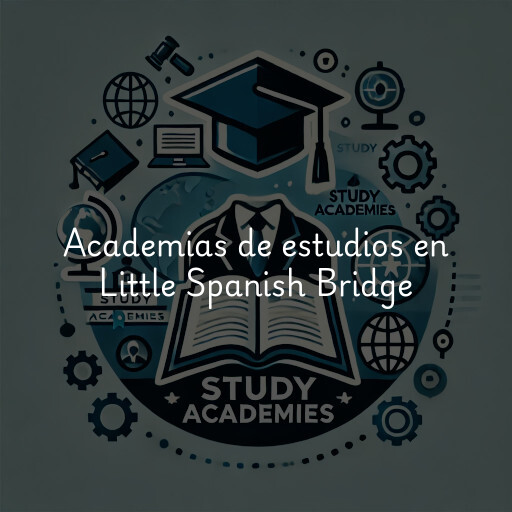 Academias de estudios en Little Spanish Bridge