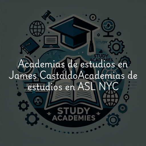 Academias de estudios en