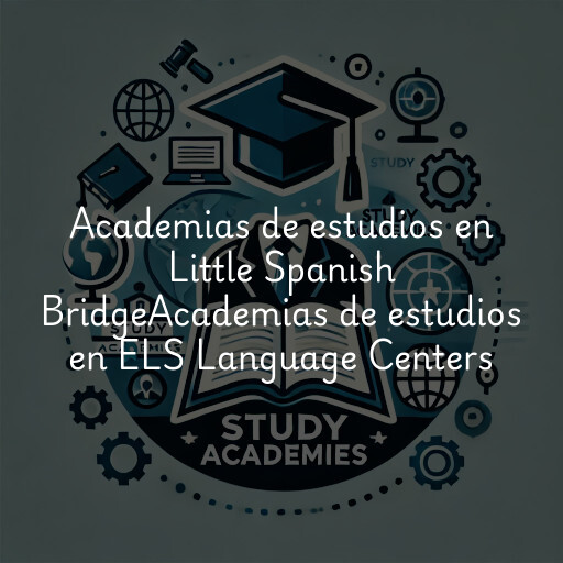 Academias de estudios en