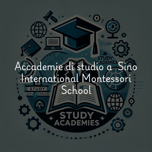 Accademie di studio a Sino International Montessori School