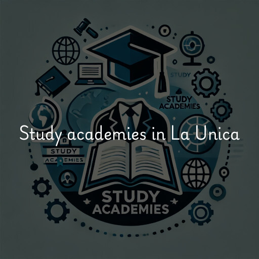 Study academies La Unica