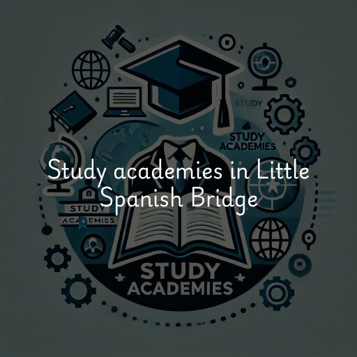 Study academies Little Spanish Bridge