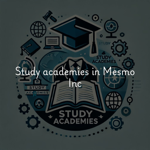 Study academies Mesmo Inc